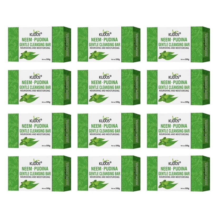 Kudos Best of Natural Ingredients, Antiseptic and Moisturising Bathing Soap with Aloe Vera, Neem, For Smooth, Soft & Nourished Skin (75gm)