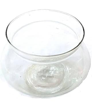 Green plant indoor Glass Table Vase 6 cms - Pack of 1