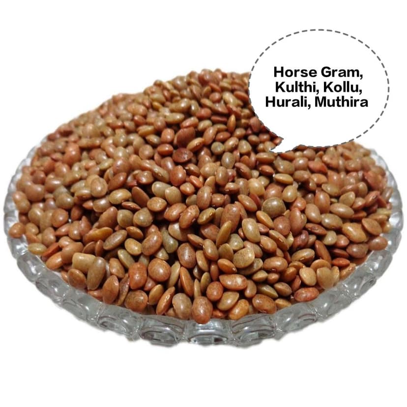 Horse Gram, Kulthi, Kollu, Hurali, Muthira view 4