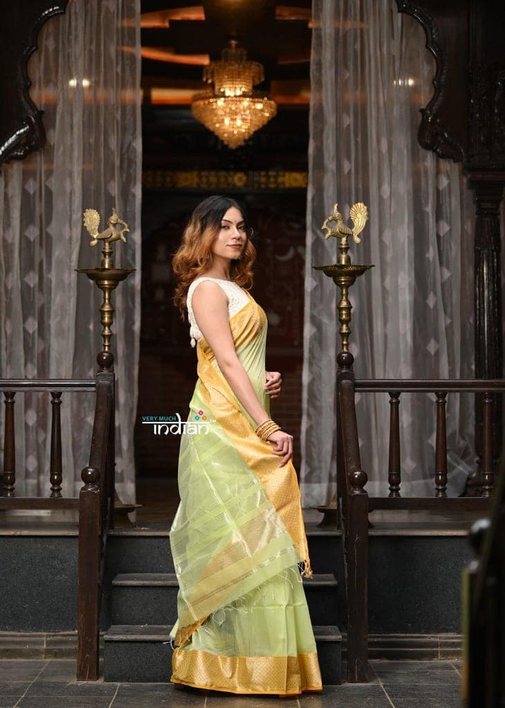 VMI Exclusive Designer! Handloom Cotton Silk Saree With Broad Golden Border ~ Lush Green view 3