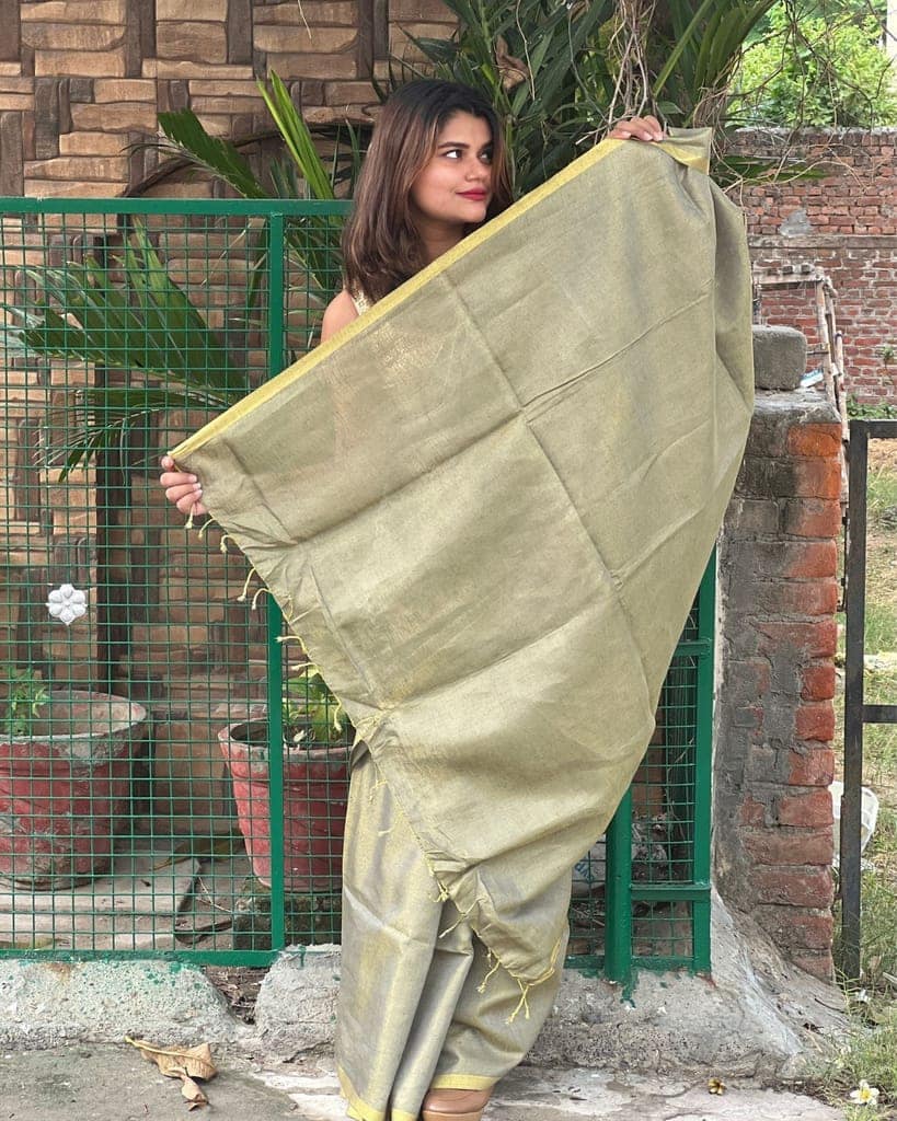Hand Dyed Pure Tissue Linen Grey Color Saree With Running Blouse Hand Dyed-1577 view 3