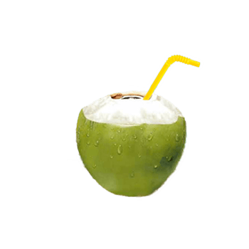 Fresh Tender Coconut 1Pc