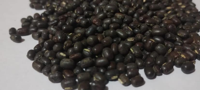 Unpolished Mah Dal/Bhatt Dal view 4