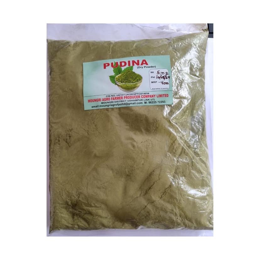 Pudina Powder view 4