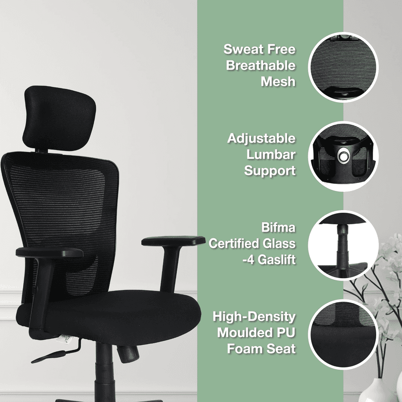 OOLIVE EAGLE OC110 Executive Ergonomic High Back Office Chair, Tailored for Superior Comfort view 2