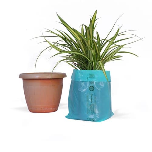 100% Compostable Plant Grow Bags - 5 x9 inches - 165 Pcs/kg I Green colour I Pack of 3 KG view 2
