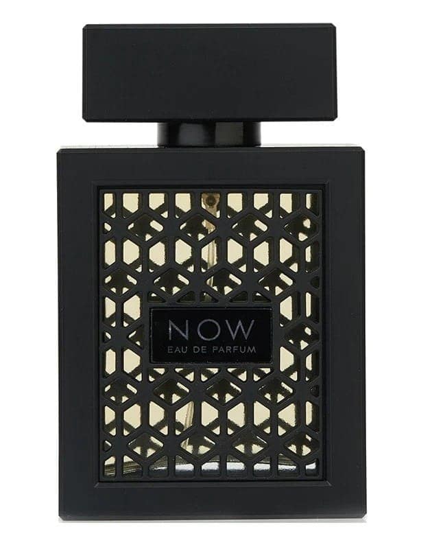 Rave Now Eau De Parfum 100ml – Fresh Fruity Woody Perfume For Men view 2