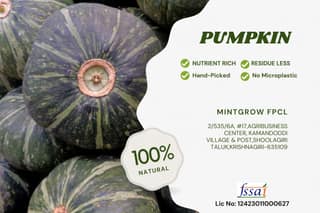 PUMPKIN