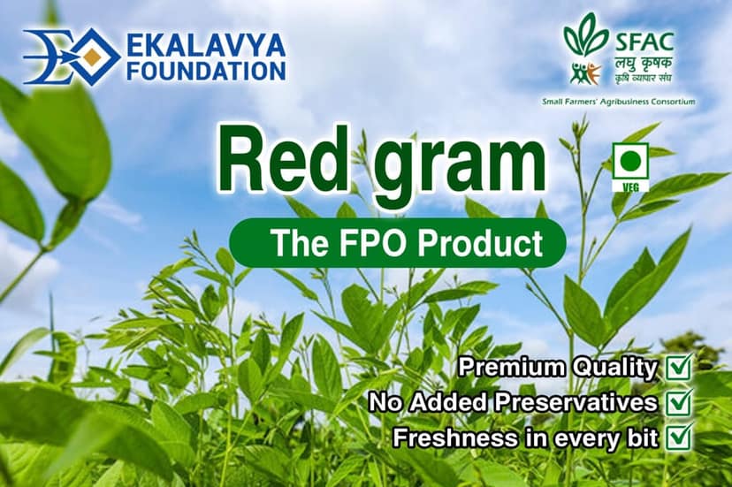 Red Gram Loose/1kg view 5