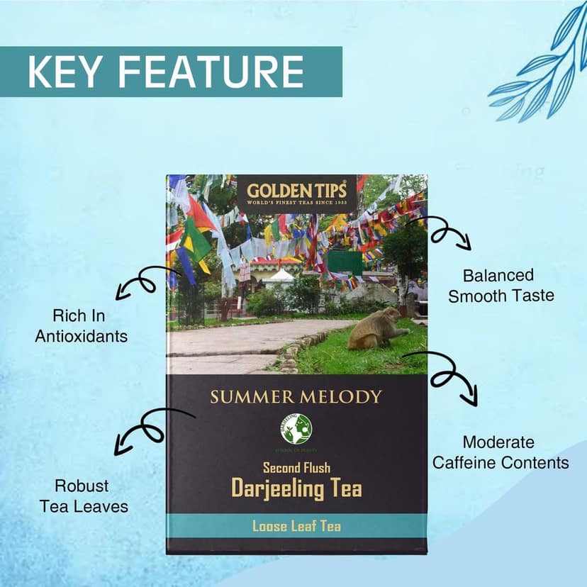 Golden Tips Summer Melody Second Flush Darjeeling Black Tea (8.81oz - 250 gm - 125 Cups) view 5