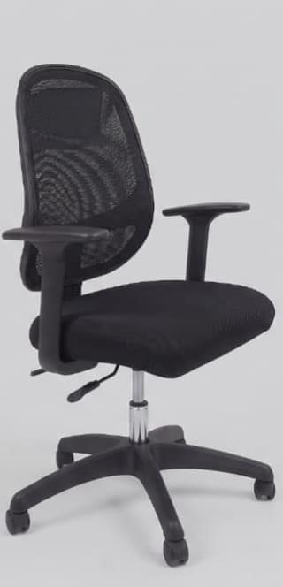 Ergonomic Mesh Mid-Back Office Chair, Adjustable Arms, Swivel Base, Black