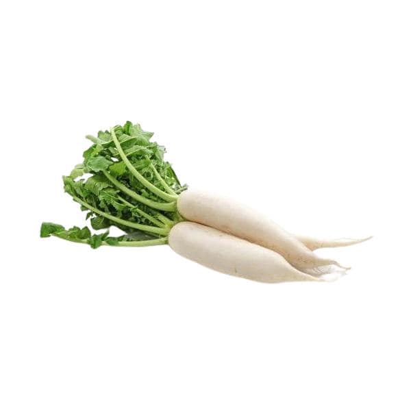 White Radish (Bundle)