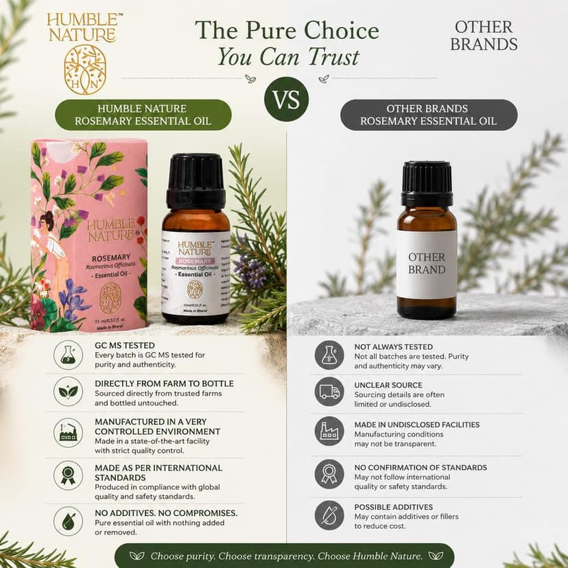 Humble Nature Rosemary Essential Oil 15 ml | Steam Distilled Natural Plant Extract | Aromatherapy, Diffuser, Massage, Hair Care & Skin Care | Premium Essential Oil view 4