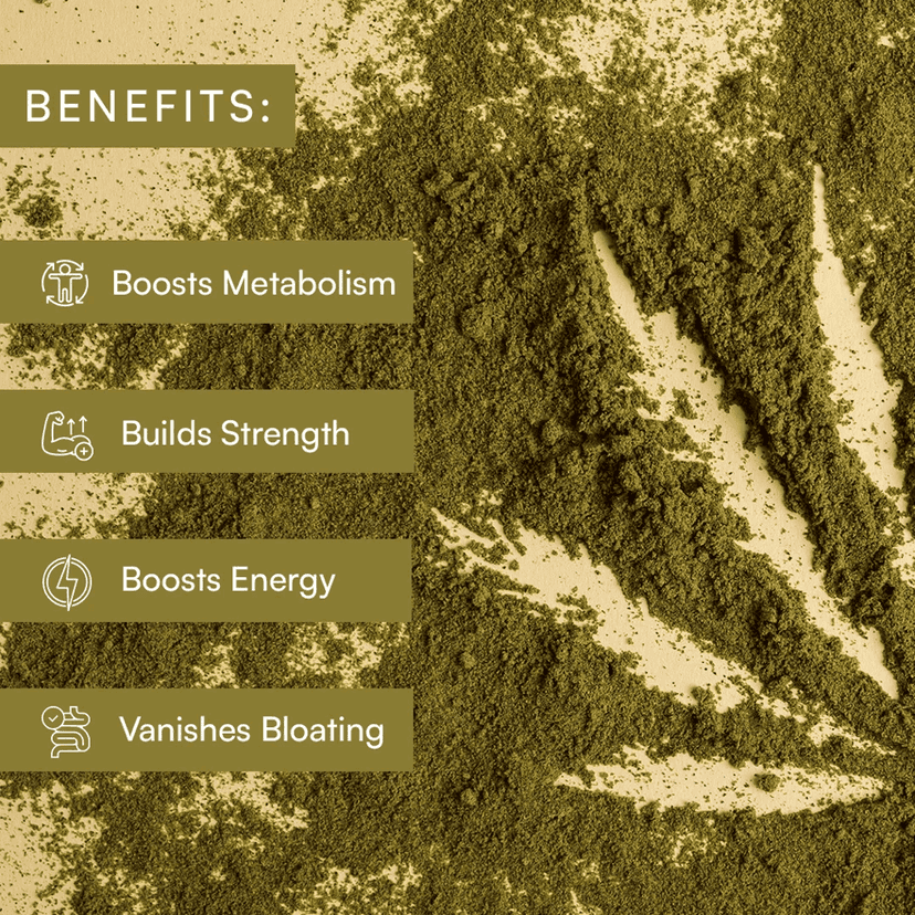 Cannaking Hemp Seed Powder view 2
