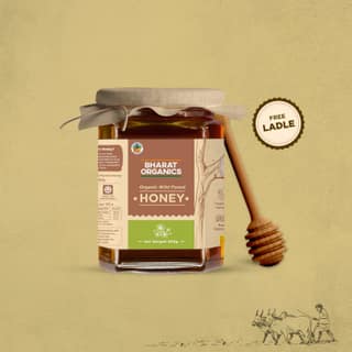 Bharat Organics Organic Wild Forest Honey - 500g