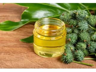 ORGANIC CASTOR OIL - 500 Millilitre