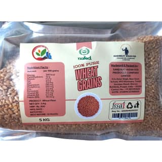 Wheat Grains
