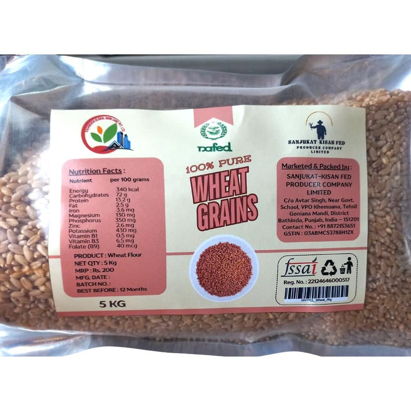 Wheat Grains