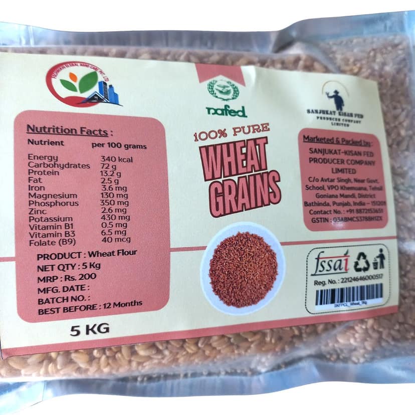 Wheat Grains view 2