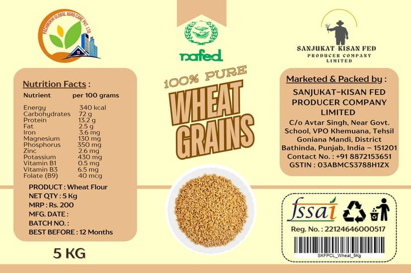 Wheat Grains view 3