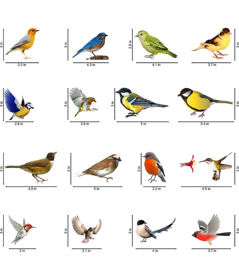 WallDesign Colorful Natural Birds Sticker Vinyl Switch Board Sticker - Pack of 16 view 2
