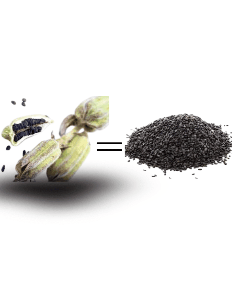 "Buy Organic Sesame Seeds Online at Best Price | (pack of 4) view 3
