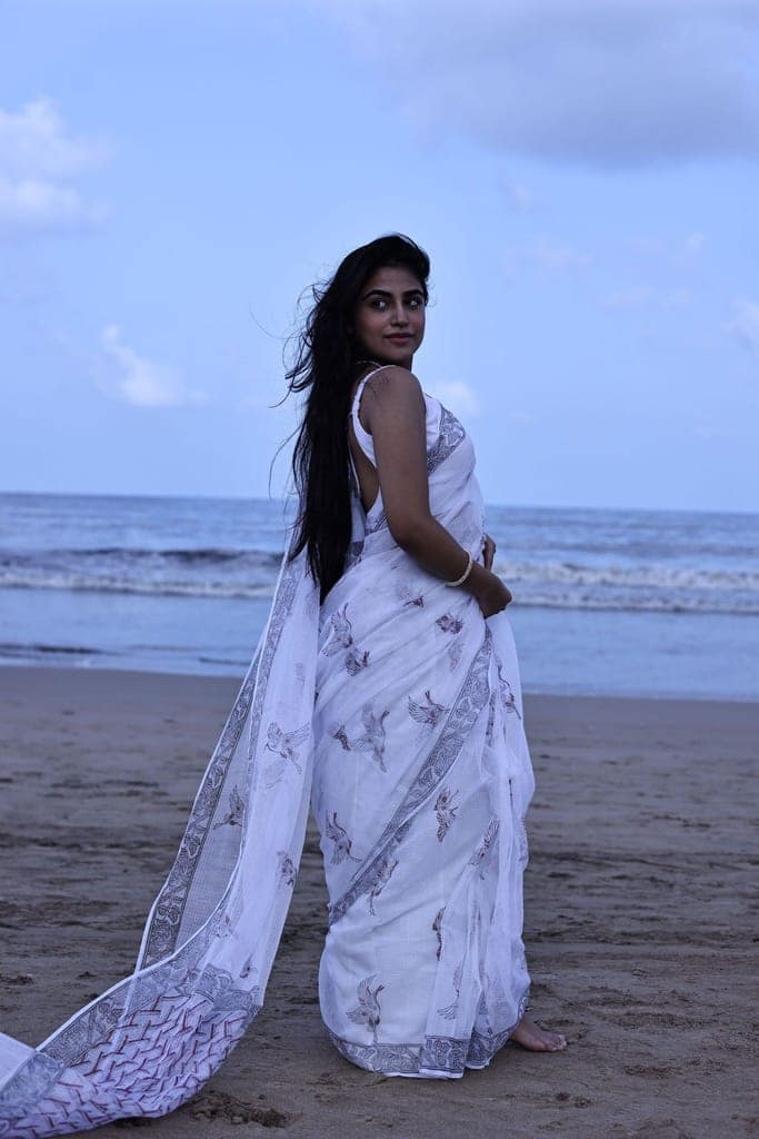 Kaisori Bagh Kingfisher Kota blockprinted silk cotton saree view 4
