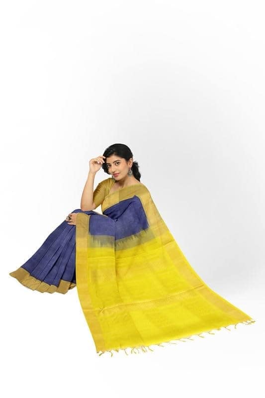 APCO Handloom - Women's Venkatagiri SICO Cotton Blend Handloom Saree, Blue 06 view 4