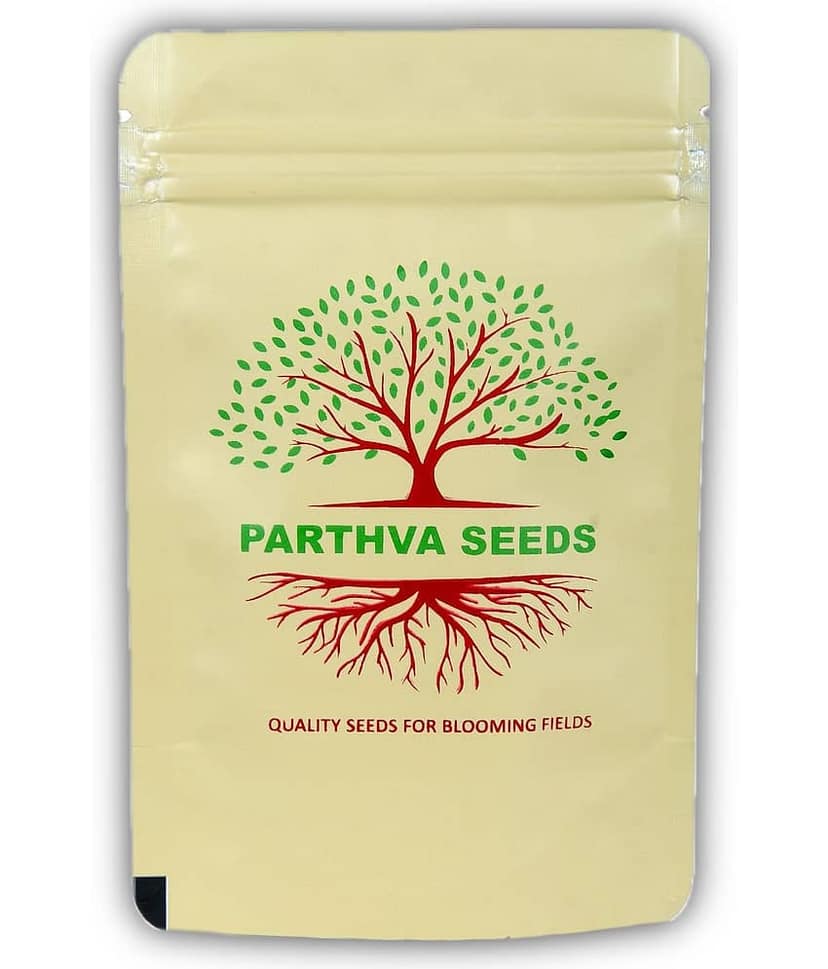 Brachyscome 30 Premium Seeds view 2