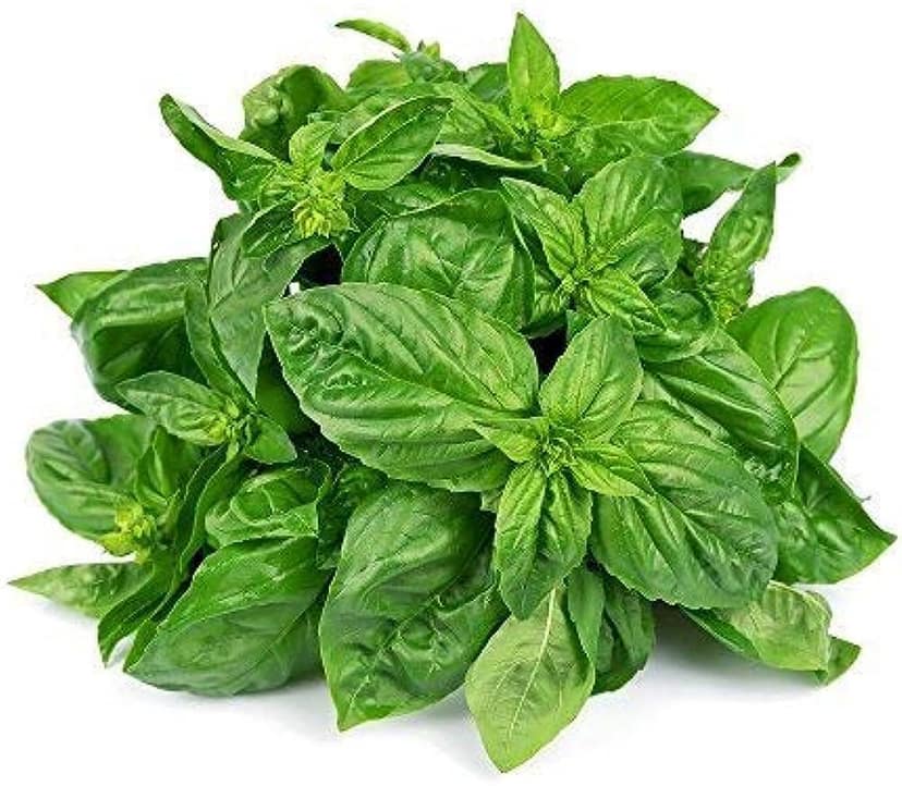 Basil Leaves Each