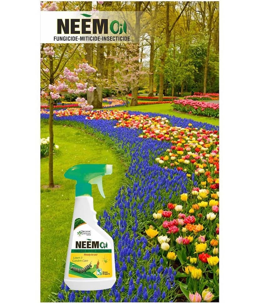 Green Dragon Neem Oil Insecticide All Insect Spray for Lawn & Garden 500 ml RTU view 4