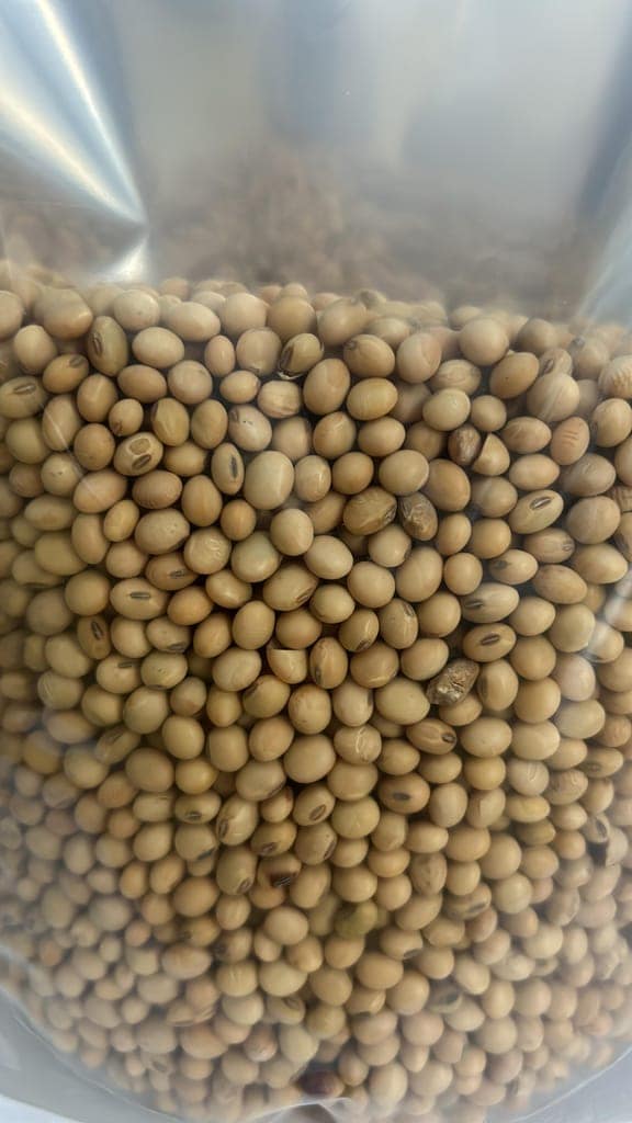 Soyabean Cleaned view 3
