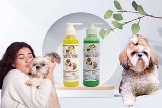 SWACCH Premium Shampoo for Shih TZU (200ML) (Combo Pack of 2) Lemon & NEEM ALOVERA