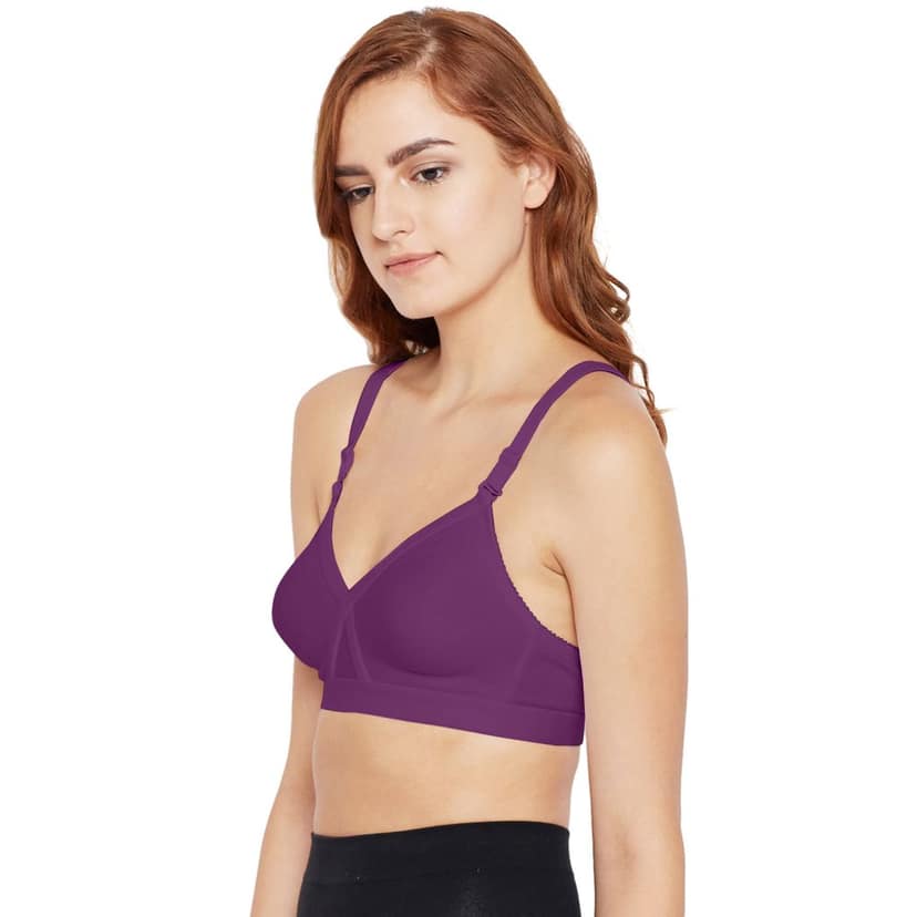 Bodycare 100% Cotton Non Padded Non wired Seamless Bra-Pack of 3 view 3
