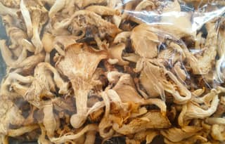 DRY OYSTER MUSHROOM 250GM