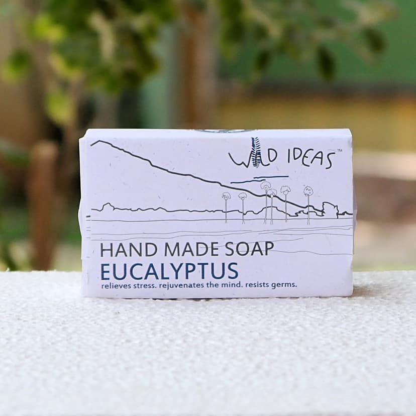 Wild Ideas Eucalyptus Body Soap (Set of 4) view 2