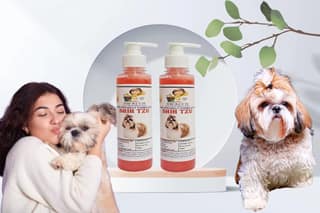 SWACCH Premium Shampoo for Shih TZU (200ML) (Pack of 2) Jasmine