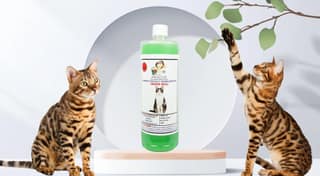 SWACCH Shampoo Specially FORMULATED for Indian Billi (1 Litre) NEEM ALOEVERA