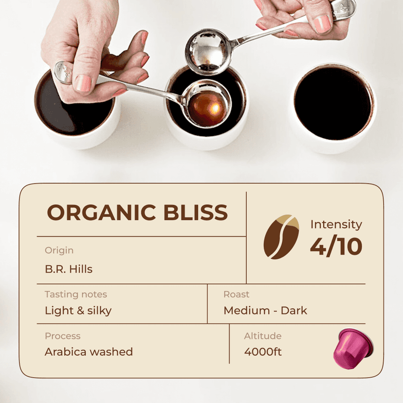 Organic Bliss Espresso Pods - Intensity 4/10 | Nespresso Compatible | Medium Roast | Premium AA+ Grade Beans | Aluminum Capsules view 3