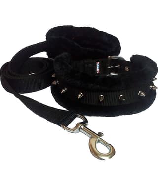 Petshop7 - Blue Combo ( Medium )