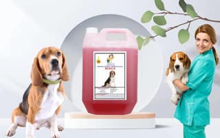 SWACCH Shampoo Specially FORMULATED for Jasmine (Beagle 5 Litre)