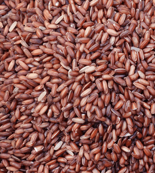 Poongar rice