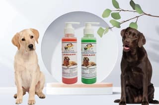 SWACCH Premium Shampoo for Labrador (200ML) (Combo Pack of 2) Strawberry & NEEM ALOVERA