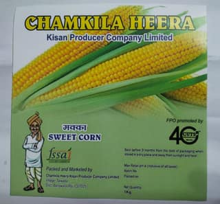 Sweet Corn, 1 PC