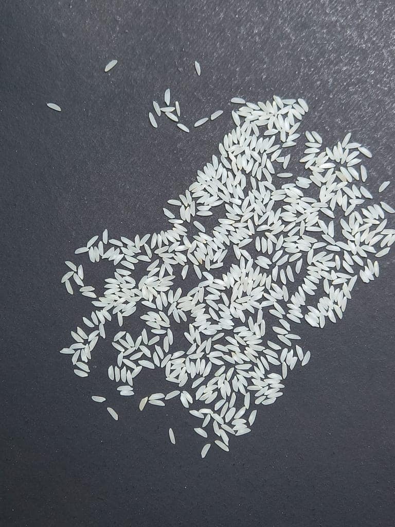 Katarni Rice view 5