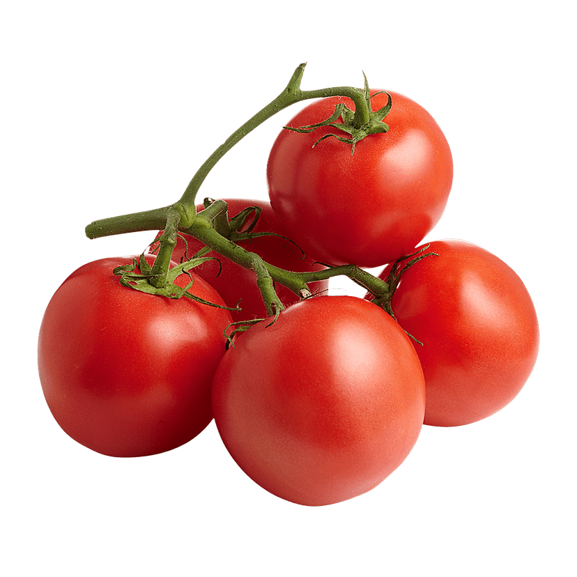 TOMATO LOCAL view 2