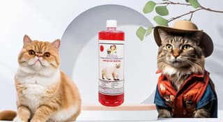 Swacch Shampoo Specially Formulated for American Bobtail (1 Litre) Strawberry