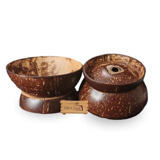 CocoLand Coconut Shell Planter Pot Large Size 250 ml