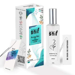 The Old Natural Spray Car Perfumes with Essential Oils Fragrance in Glass bottle with 2 Hanging Tags | Car Air Fresheners 50ml (Breezy Blue)