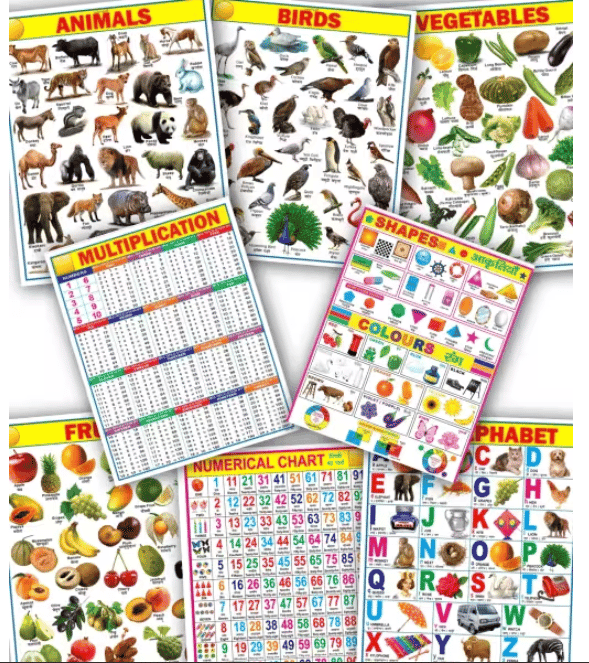 Learning Educational 8 Wall Charts for Kids (45 x 60 cm) – Educational Posters & Learning Charts for Early Education